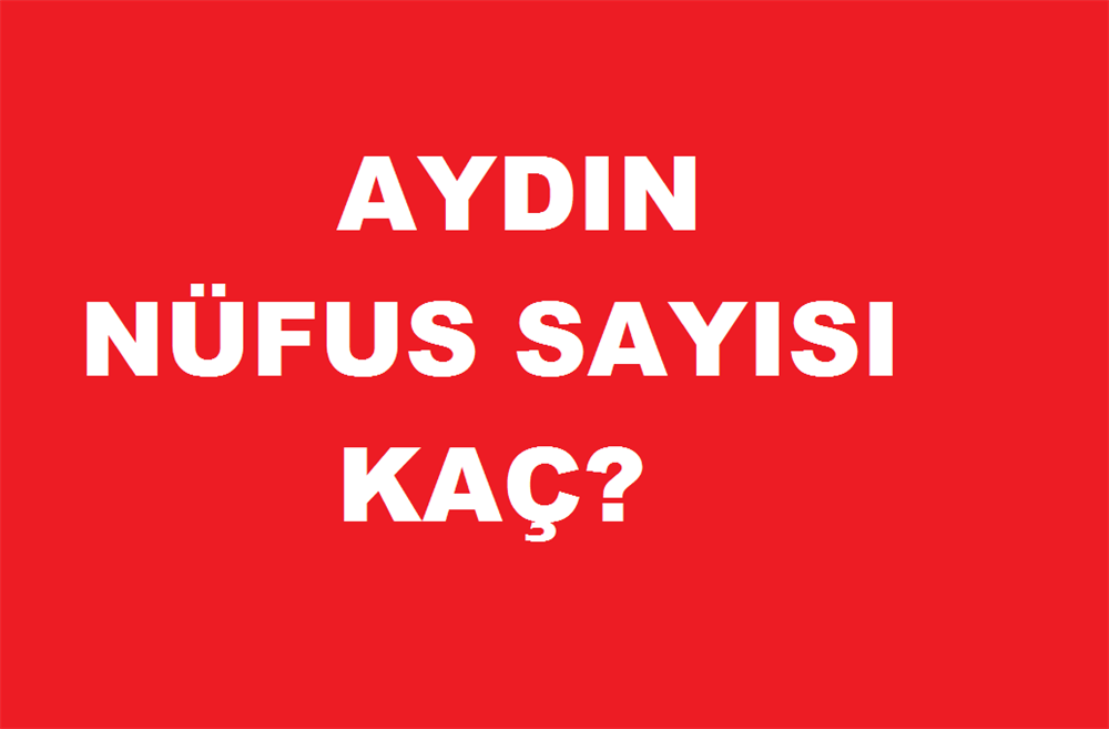 aydin in nufusu kac iste tuik e gore