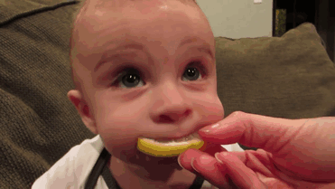 İlk kez limon yiyen şapşik bebek

                                    
                                    
                                
                                