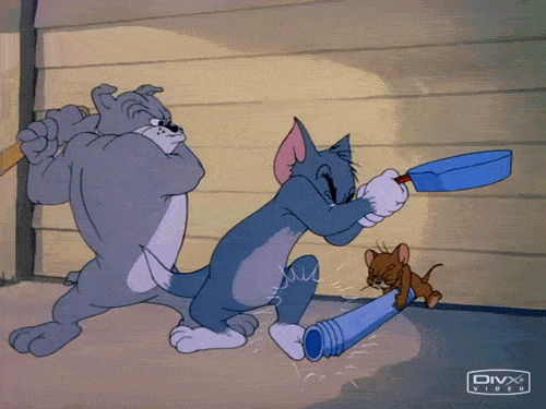 Tom ve Jerry

                                    William Hanna ve Joseph Barbera tarafından ilk olarak tüm toplumlarda yer alan kedi - fare çatışmasını bir filme alma düşüncesiyle tasarlanmıştır. Acaba tutar mı düşüncesinin ardından gelen Akademi adaylığından sonra ise ikilinin ismi açılan bir yarışma ile değiştirilmiş ve diğer filmleri gelmeye başlamıştır.
                                