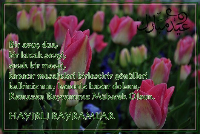 yeni safak