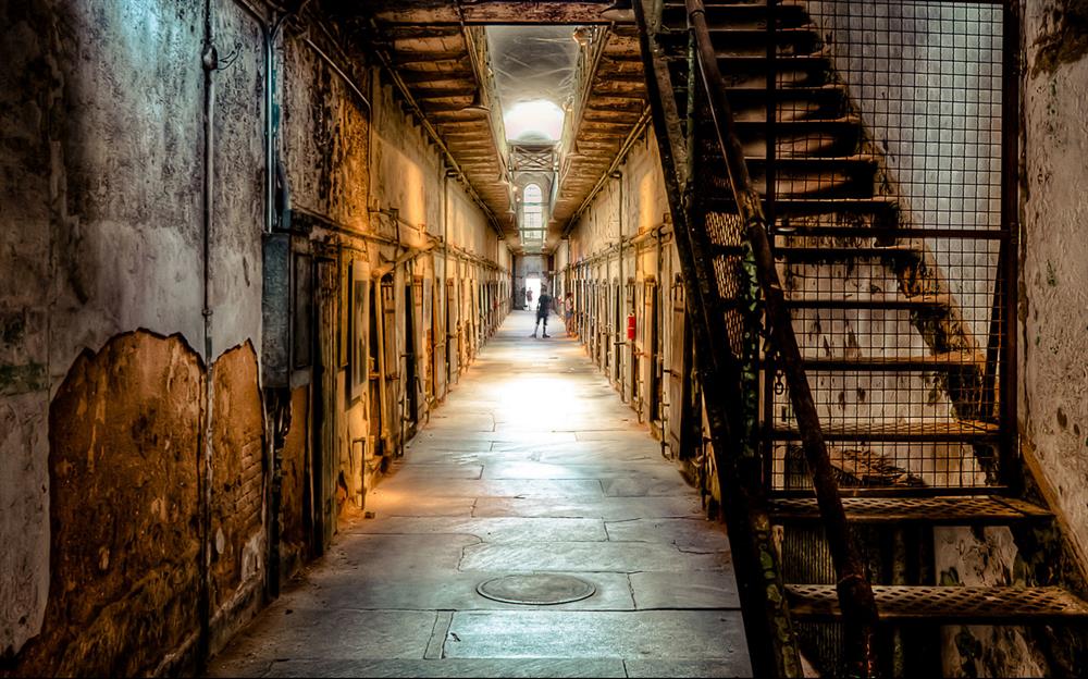 Twelve Monkeys, Pennsylvania
