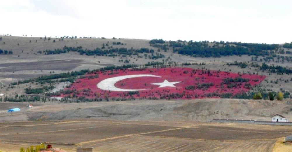 Yozgat Haber 20 Bin Ton Tas Kullanilarak Turk Bayragi Yapildi