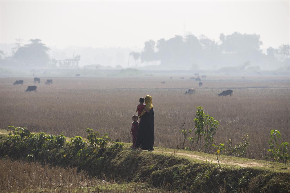 Life in Kutupalong refugee camp