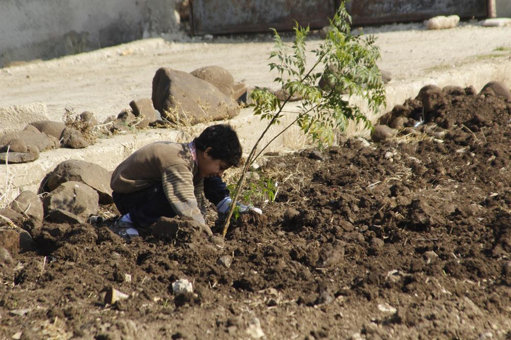Syrian kids plant trees during the event named 'We plant future' in the towns besieged by Assad Regime in Homs, Syria on January 3, 2018.​