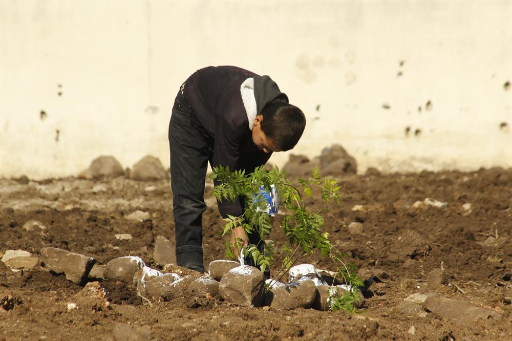 Syrian kids plant trees during the event named 'We plant future' in the towns besieged by Assad Regime in Homs, Syria on January 3, 2018.​