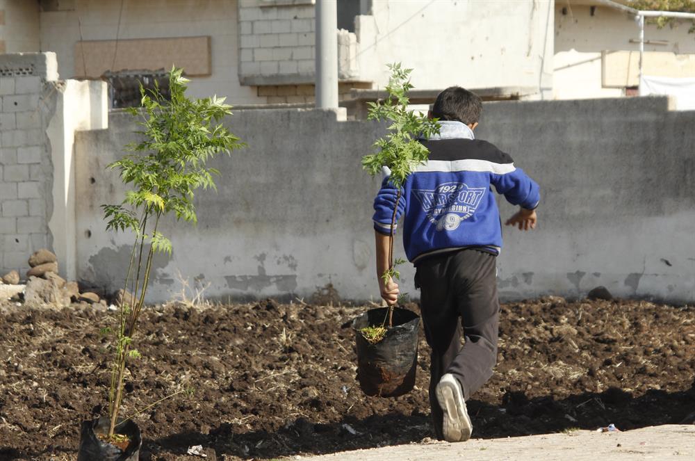 Syrian kids plant trees during the event named 'We plant future' in the towns besieged by Assad Regime in Homs, Syria on January 3, 2018.​