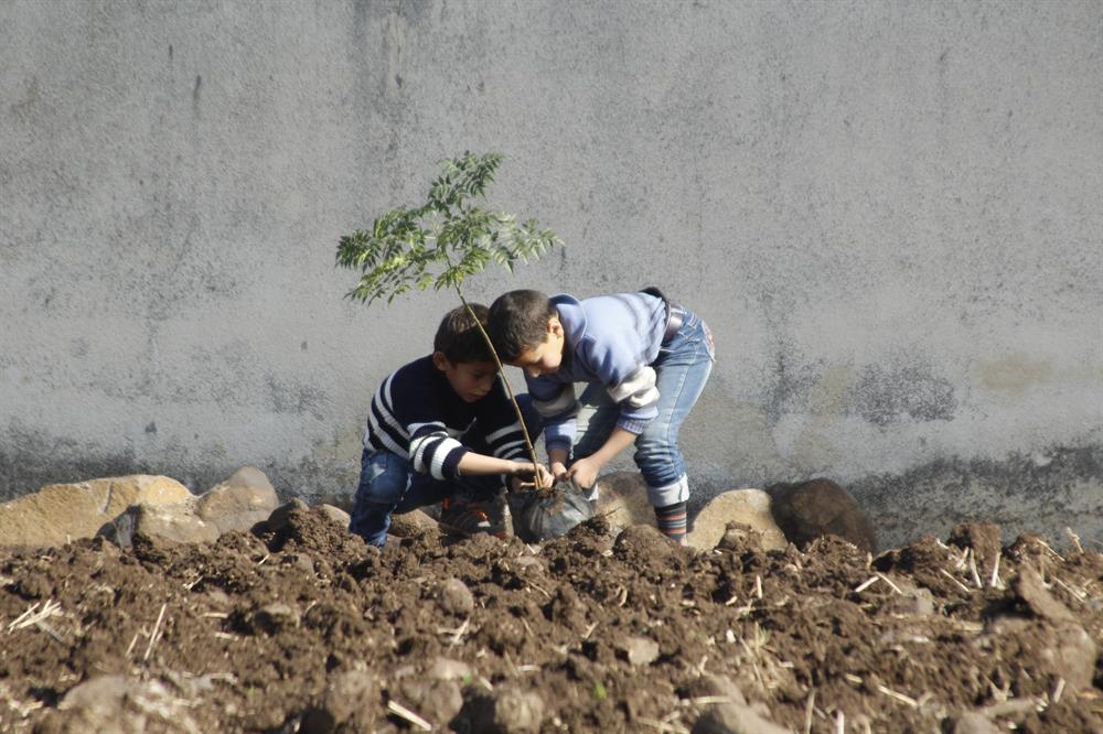 Syrian kids plant trees during the event named 'We plant future' in the towns besieged by Assad Regime in Homs, Syria on January 3, 2018.​