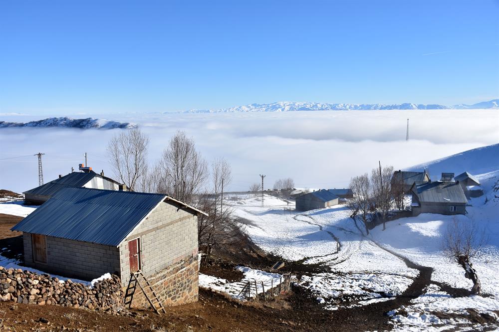 Heavy fog on Turkey's Muş Plain