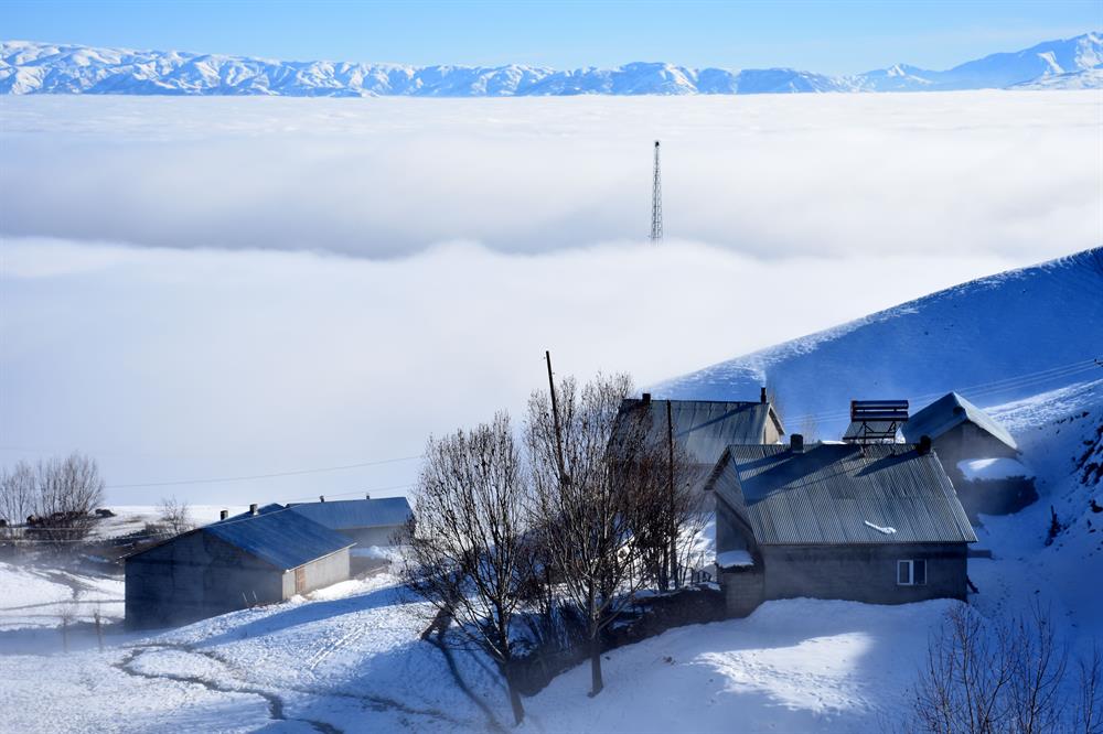 Heavy fog on Turkey's Muş Plain
