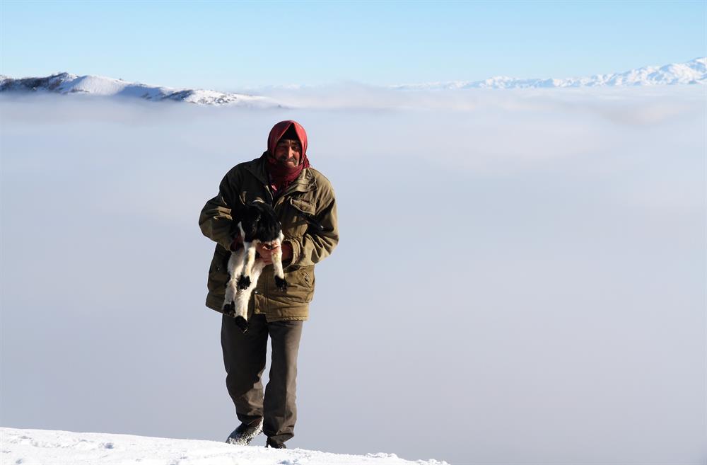 Heavy fog on Turkey's Muş Plain