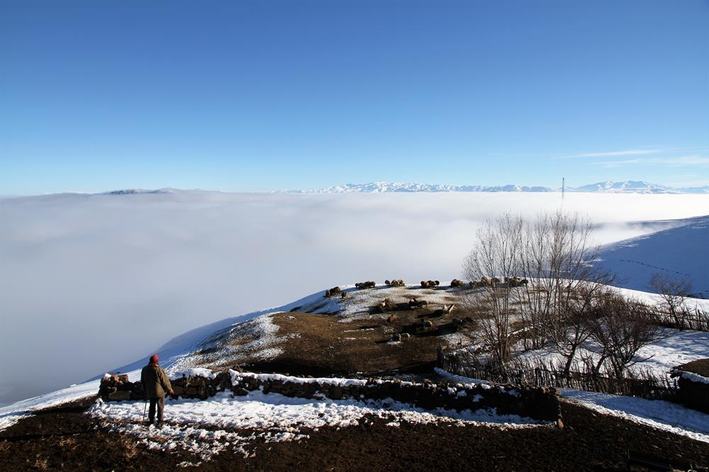 Heavy fog on Turkey's Muş Plain