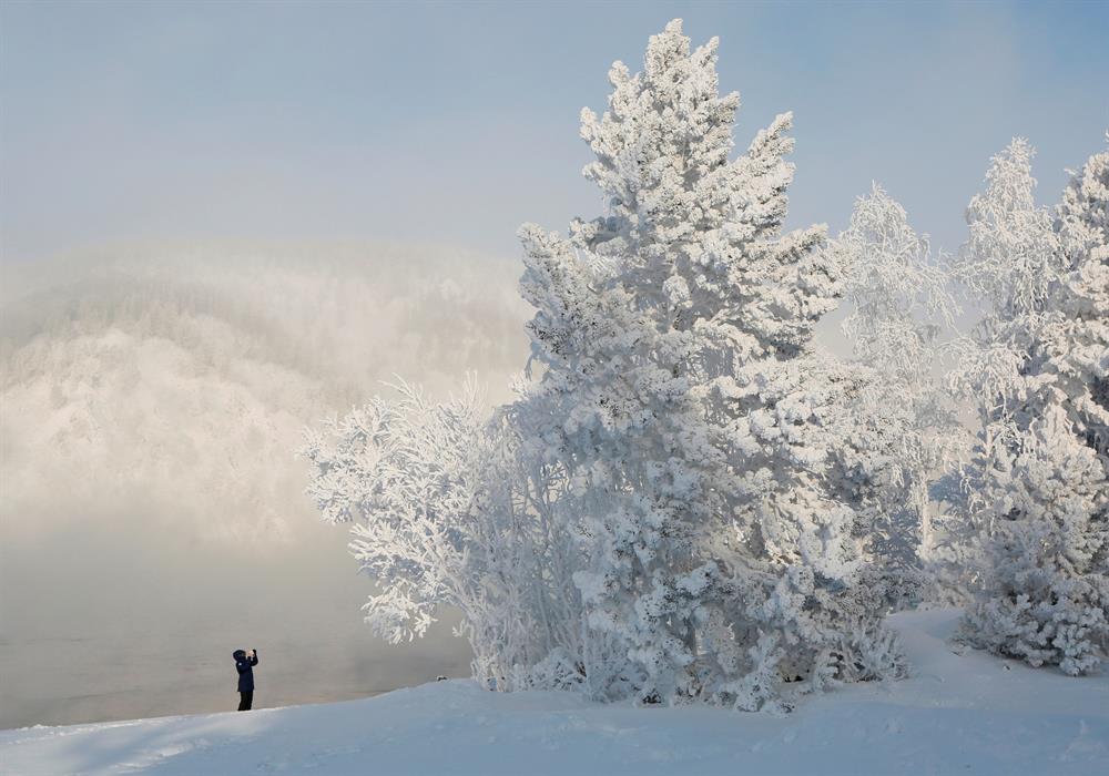 Snowy landscapes on the bank of the Yenisei River in the Siberian Taiga area, with the air temperature at about minus 35 degrees Celsius (minus 31 degrees Fahrenheit), outside Krasnoyarsk, Russia