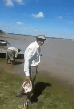 Brezilya'nın piranaları