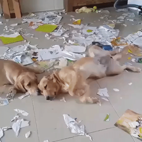 Tamam tamam anladık.. siz yapmamışsınız!