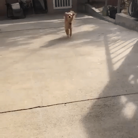 ​Arkadaşım benden hoşlanıyormuş