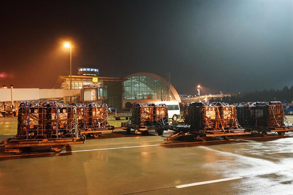 Turkey’s national flag carrier flies live fish to Oman