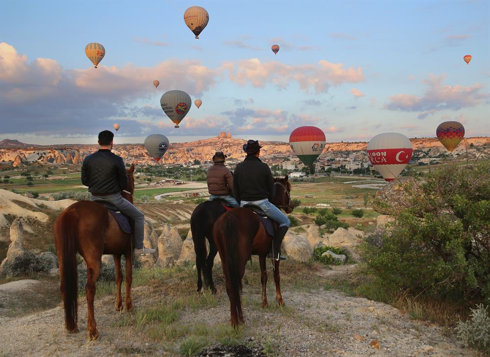 Stunning horses in Turkey’s fairytale Cappadocia