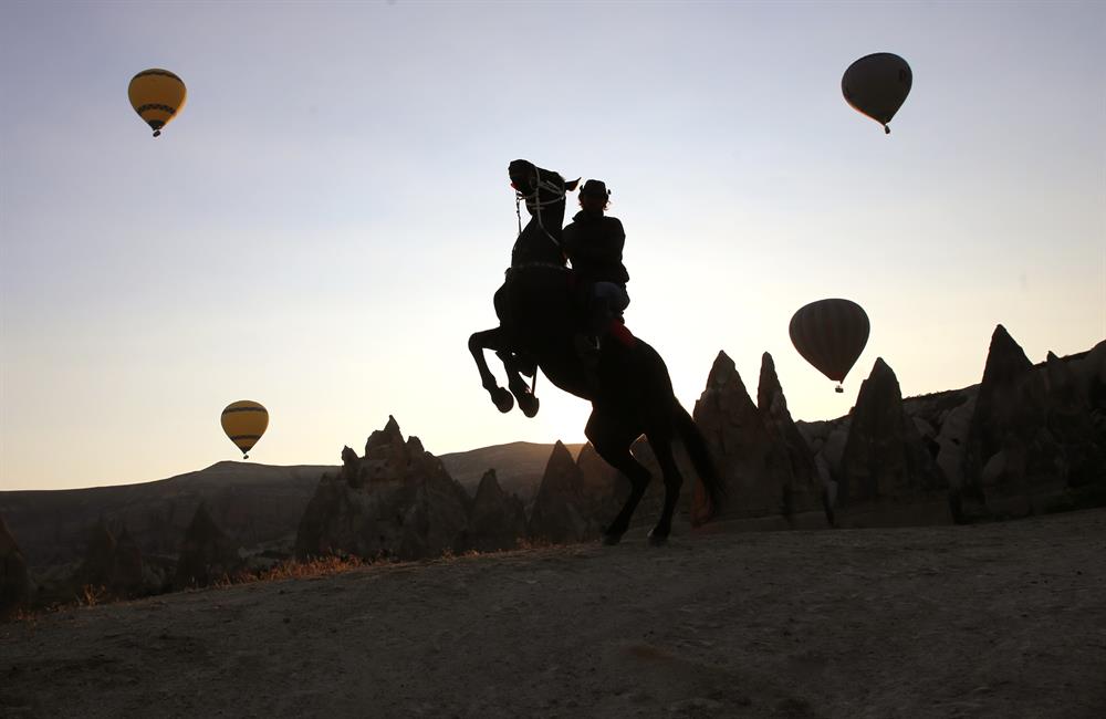 Stunning horses in Turkey’s fairytale Cappadocia