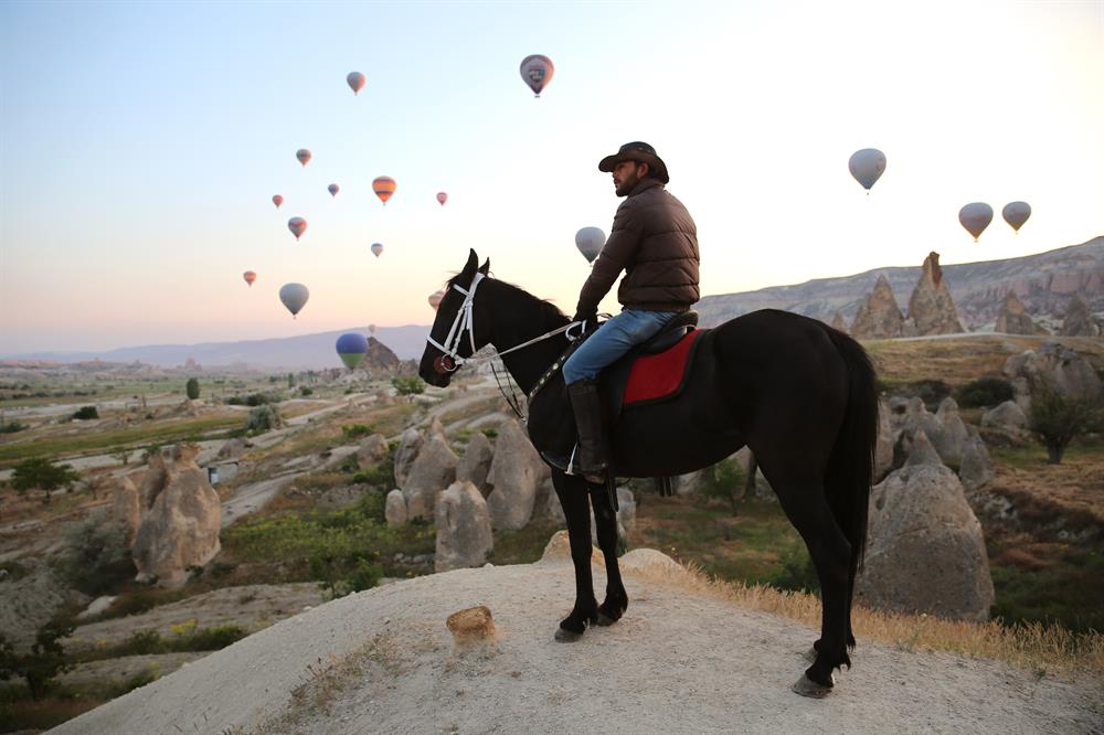 Stunning horses in Turkey’s fairytale Cappadocia