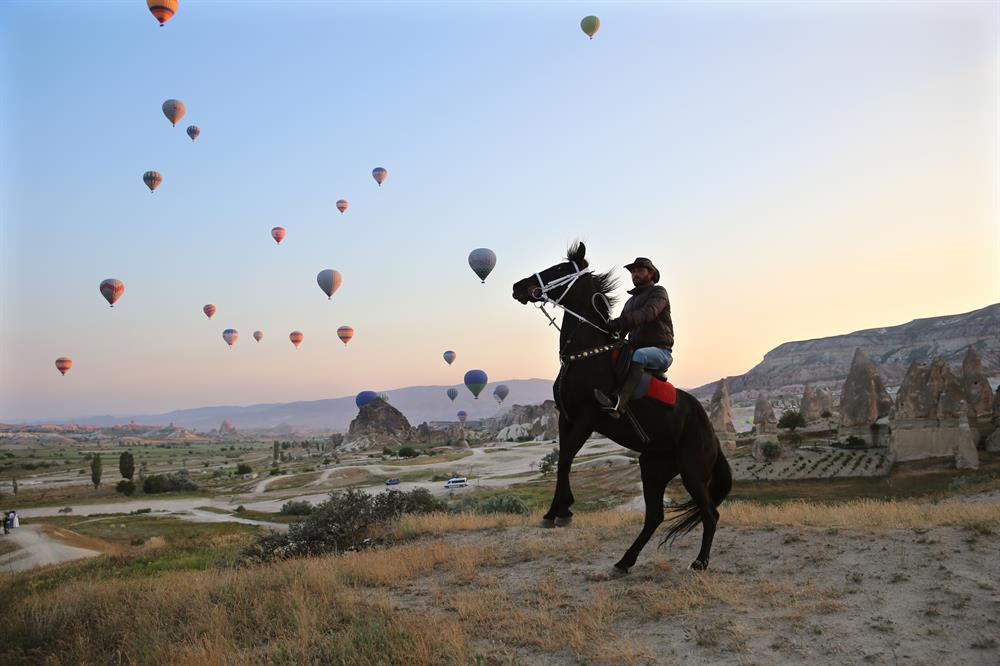 Stunning horses in Turkey’s fairytale Cappadocia