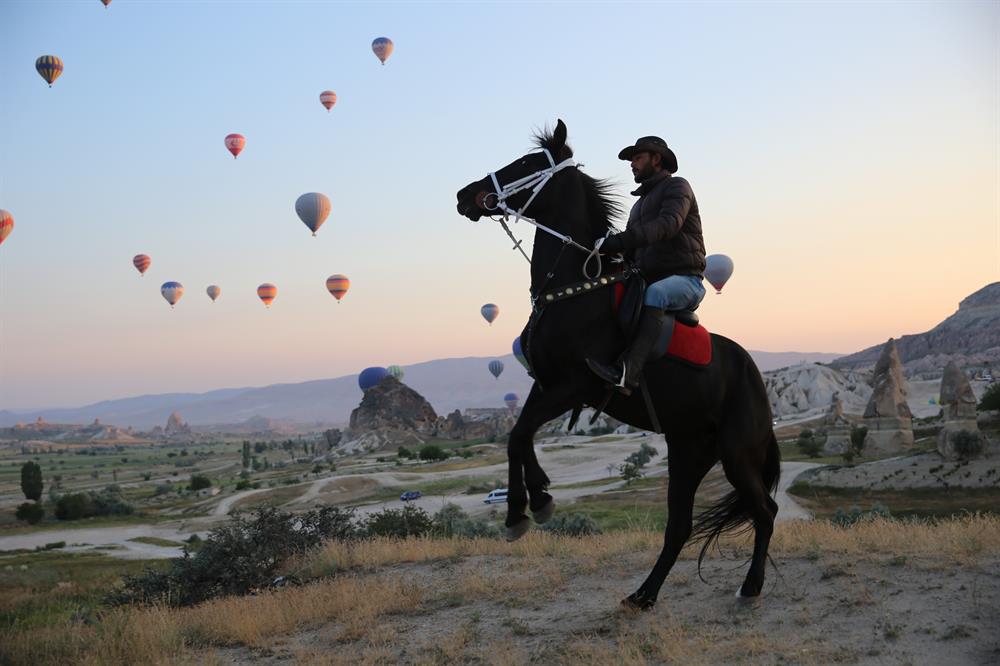 Stunning horses in Turkey’s fairytale Cappadocia