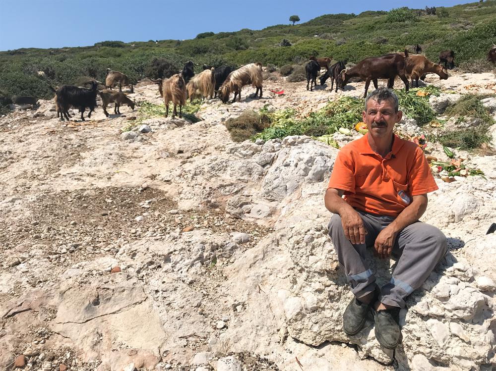 Turkish man takes care of island goats for 20 years