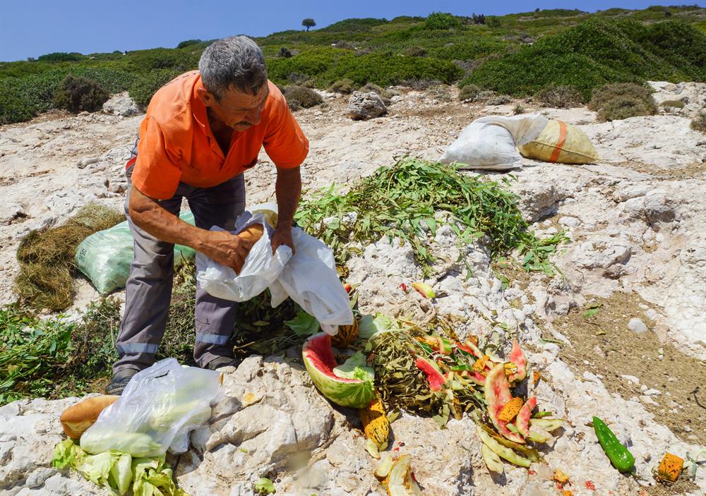 Turkish man takes care of island goats for 20 years