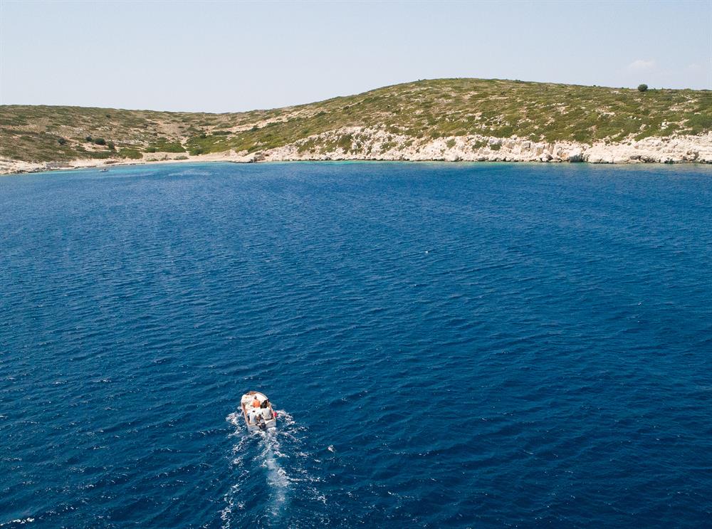 Turkish man takes care of island goats for 20 years