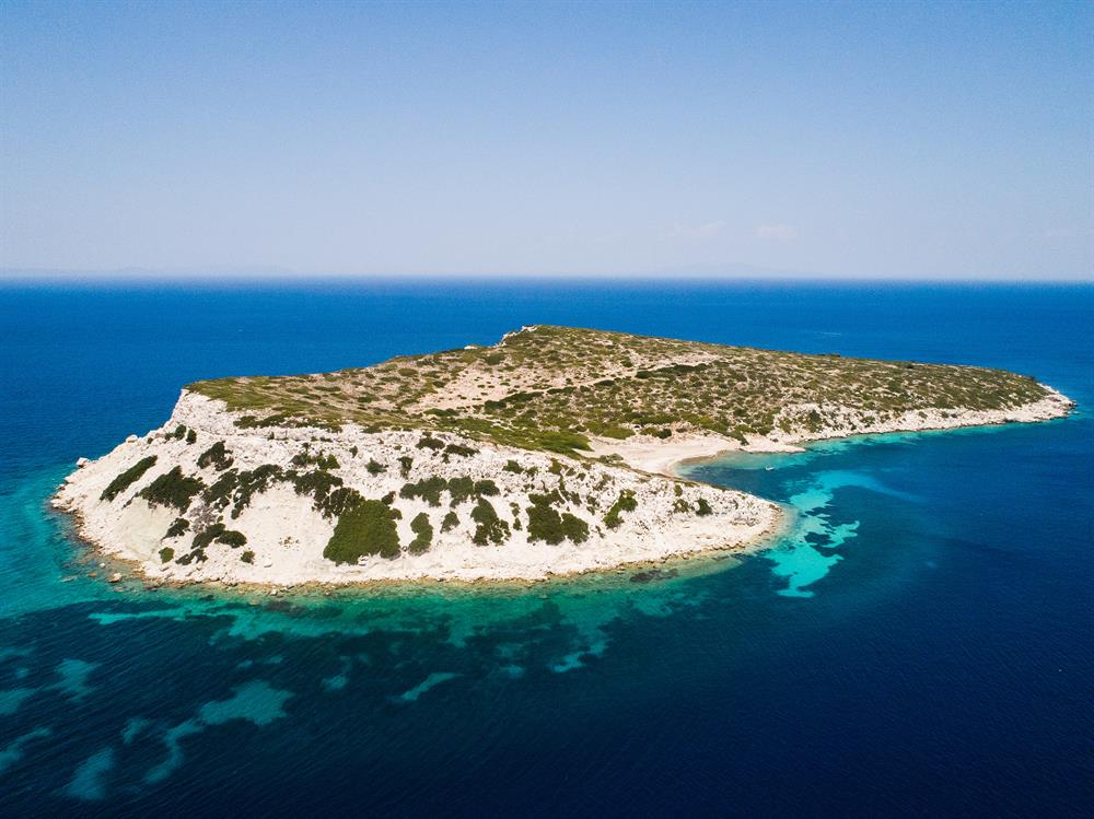 Turkish man takes care of island goats for 20 years
