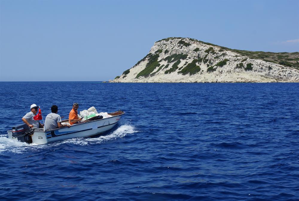 Turkish man takes care of island goats for 20 years