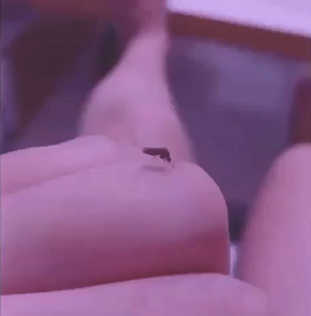 Bu kadar basit miydi her şey