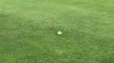 Elimdeki fırsatları kaçırırken ben