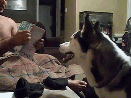 Anam o kim be tövbe tövbe