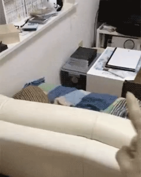 Canım şuramı biraz kaşır mısın