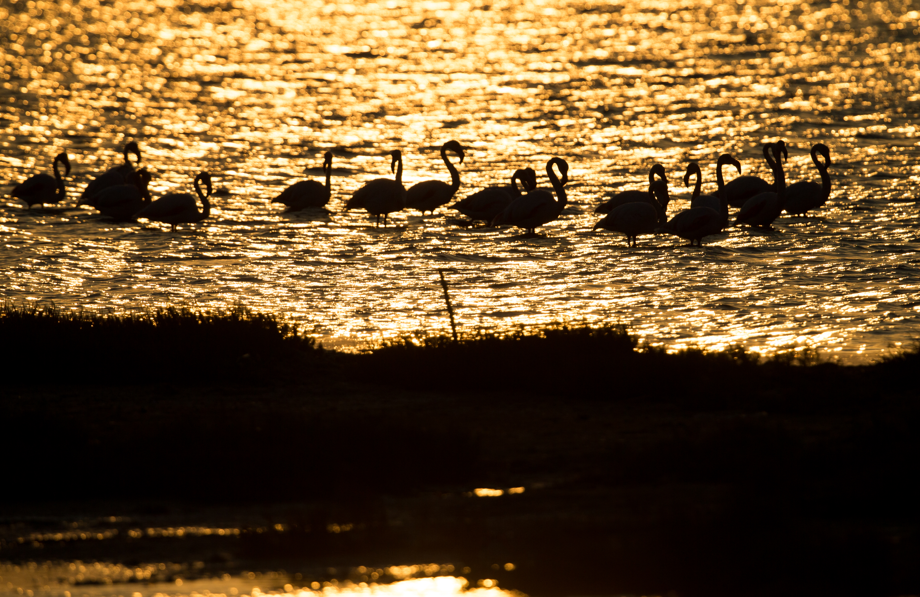 Mesmerizing sunset in Izmir bird paradise
