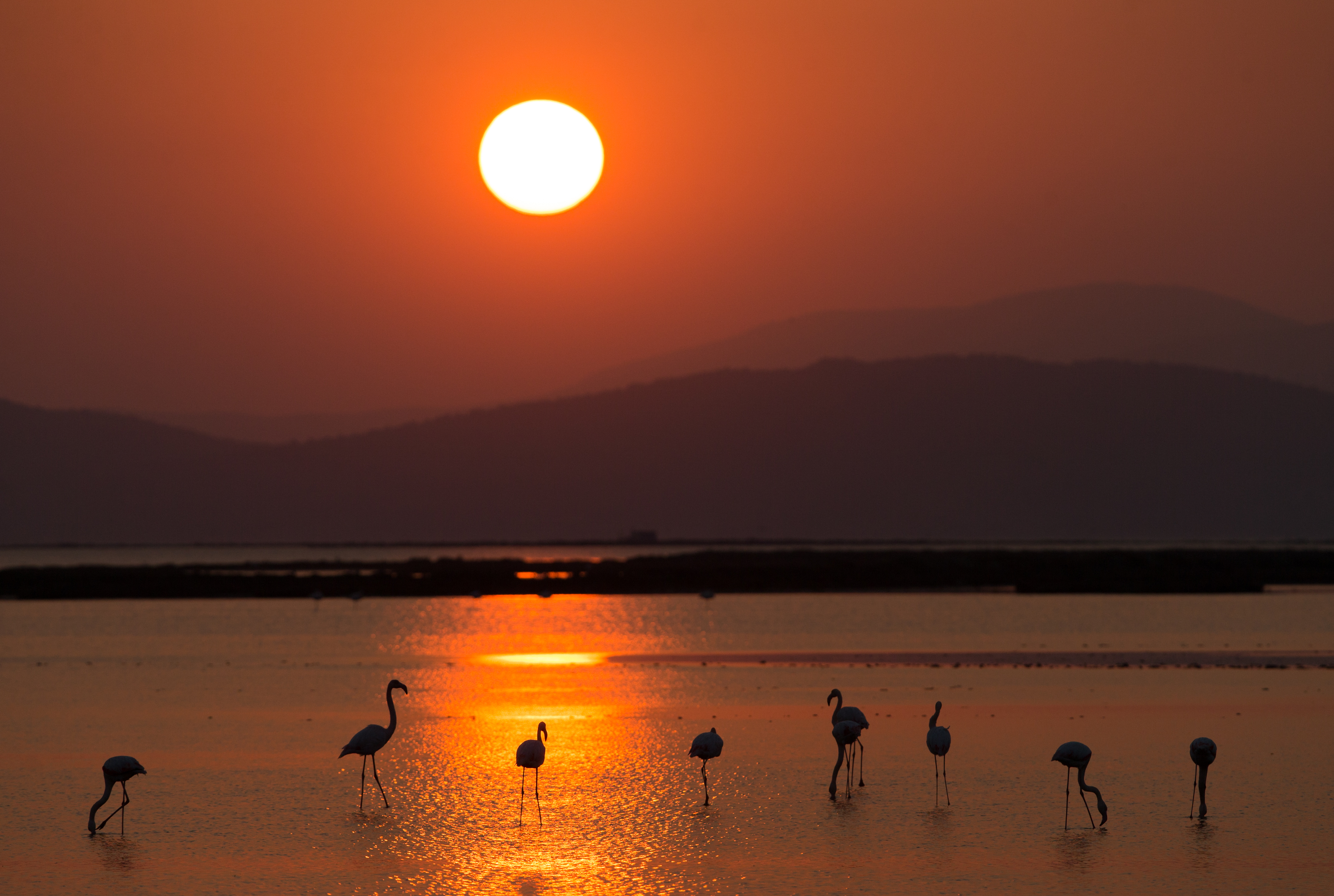 Mesmerizing sunset in Izmir bird paradise