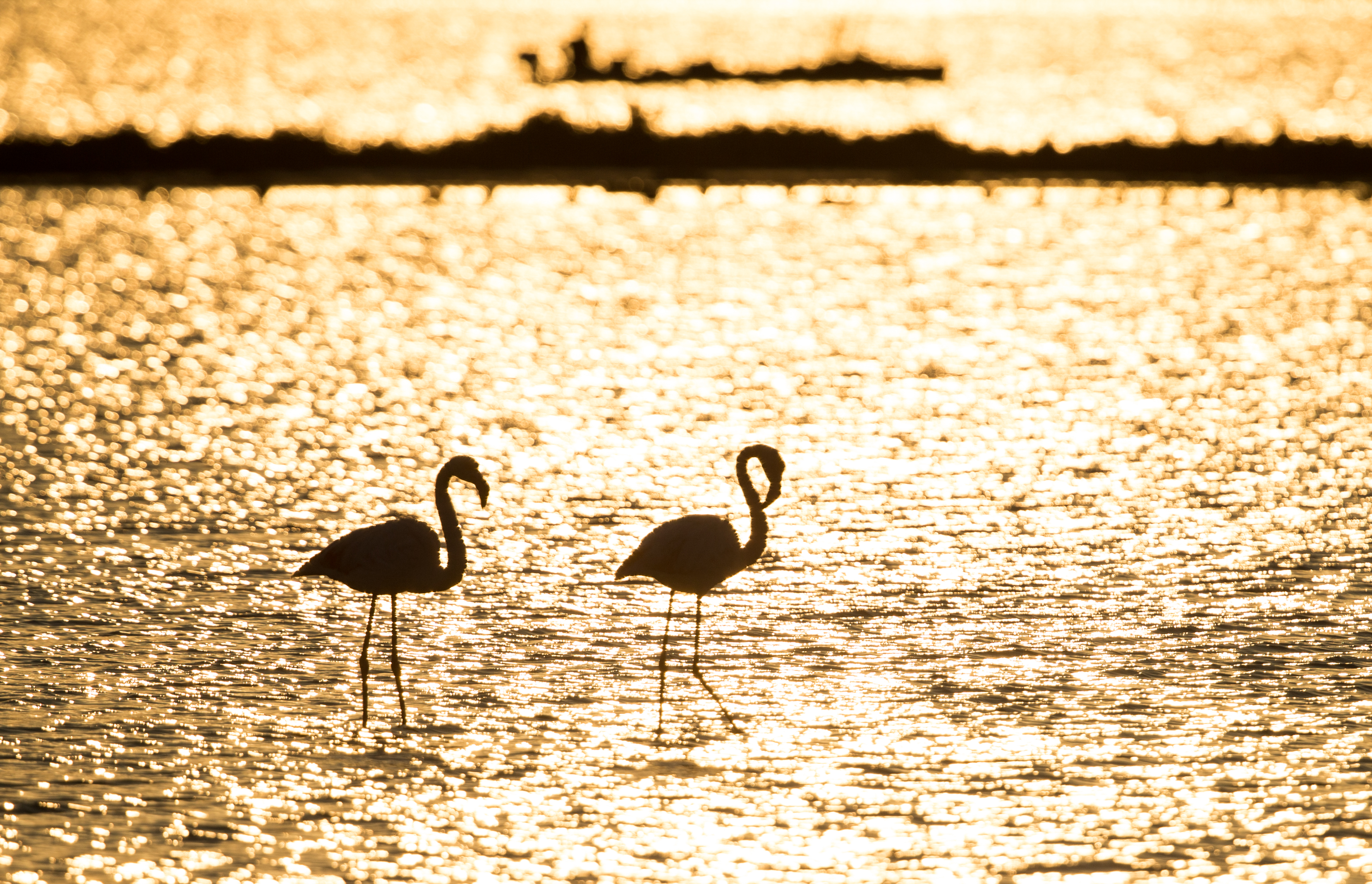 Mesmerizing sunset in Izmir bird paradise