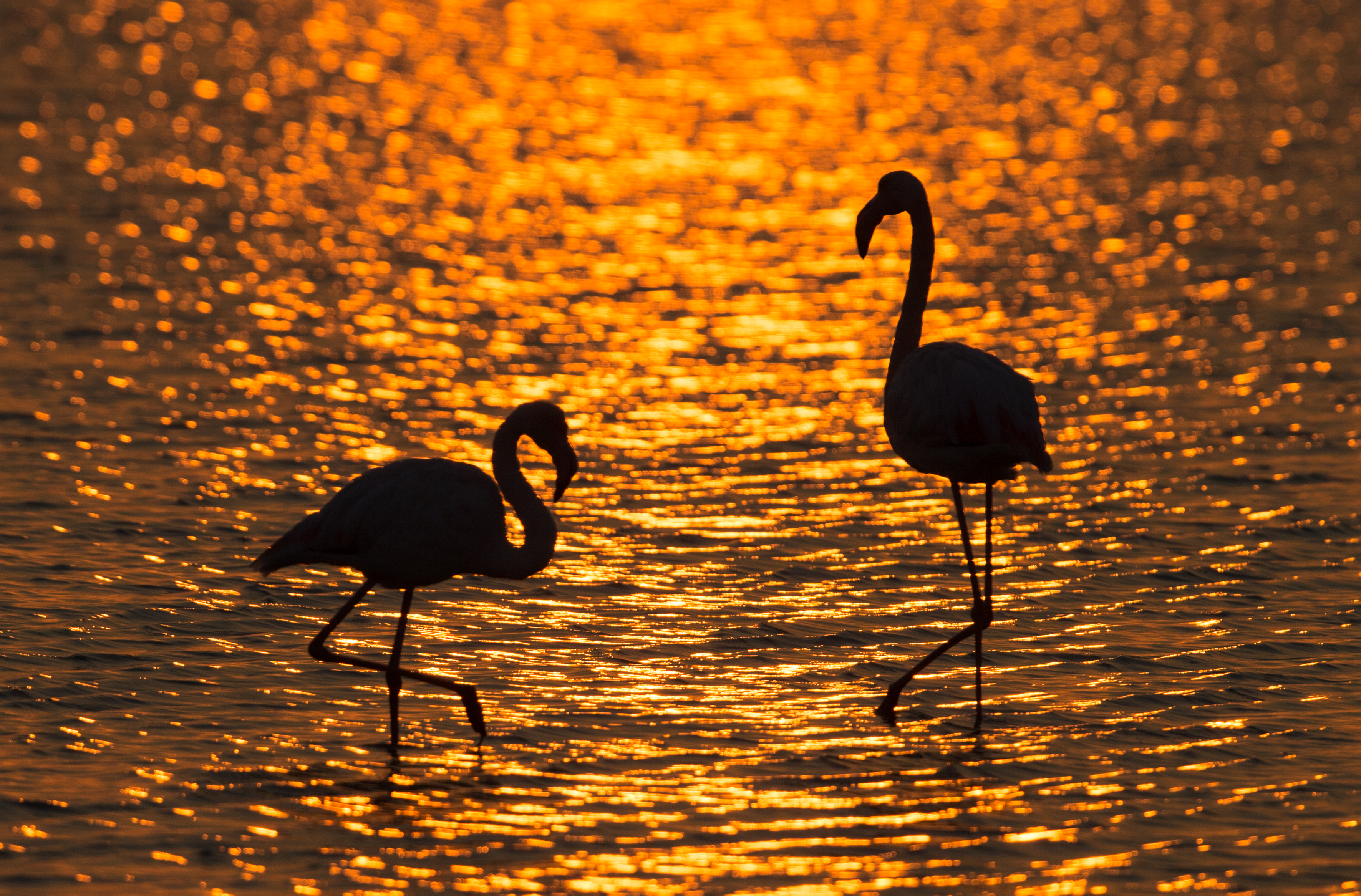 Mesmerizing sunset in Izmir bird paradise