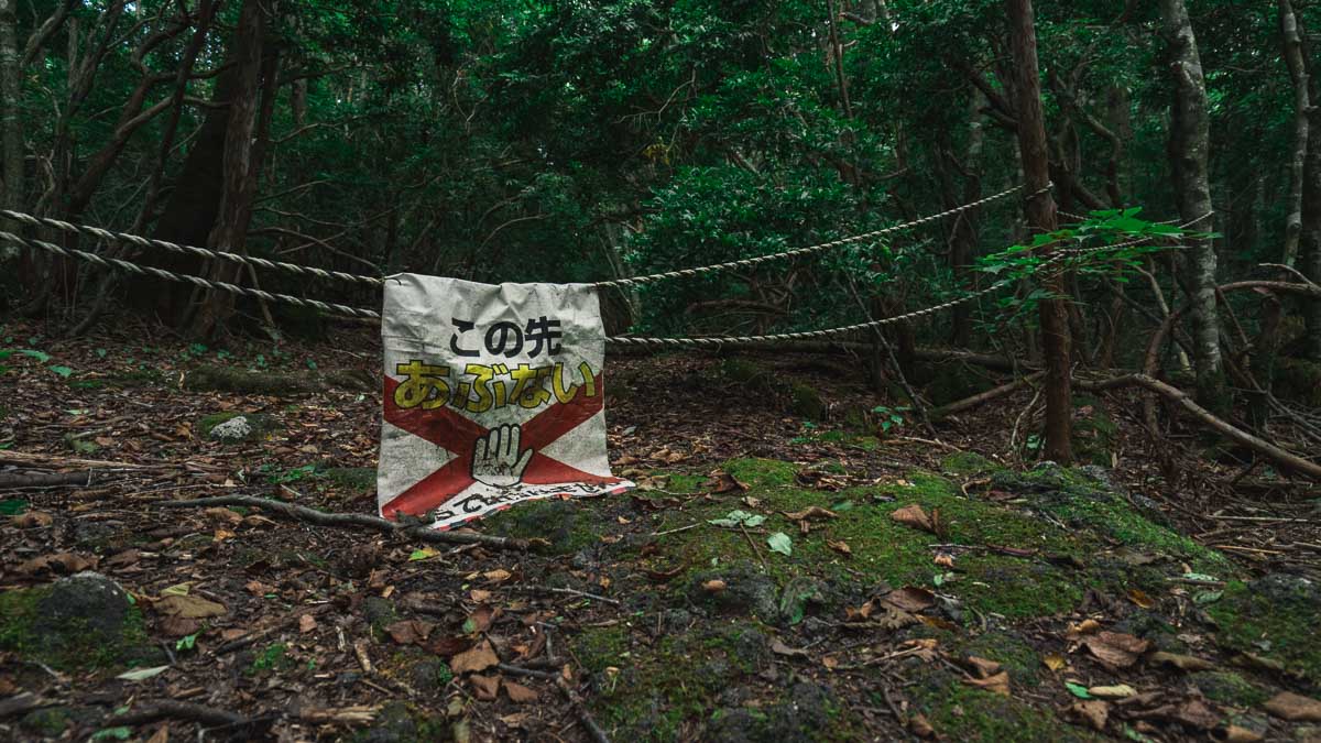 Лес в японии убийц
