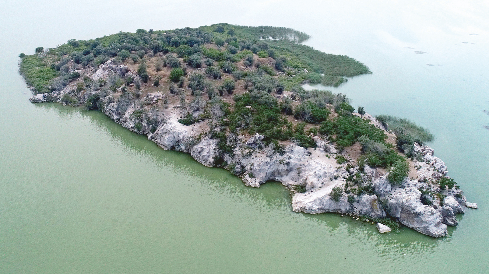 sahibinden satilik ada yeni safak