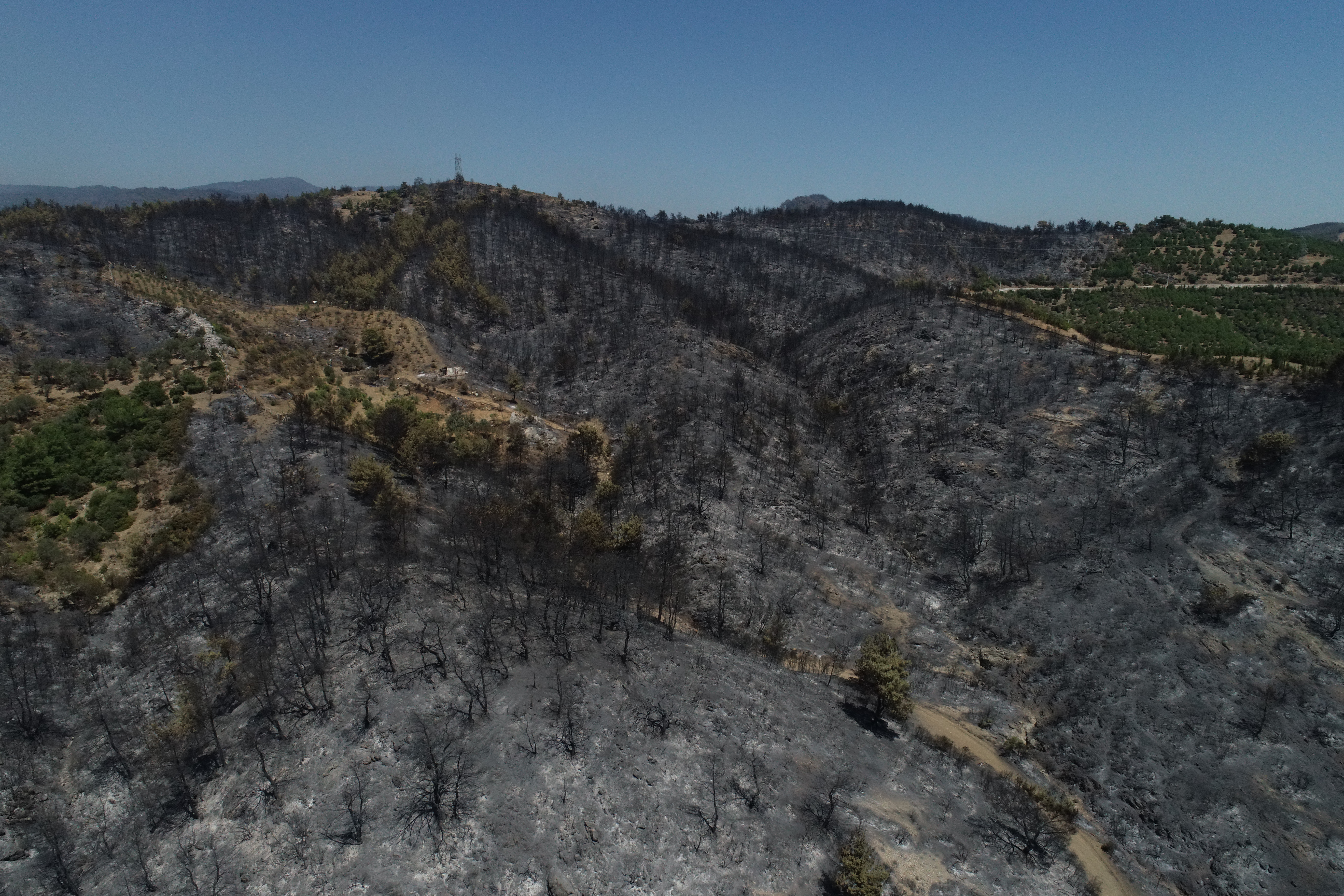 Forest fire destroys over 1,200 acres of land in Turkey