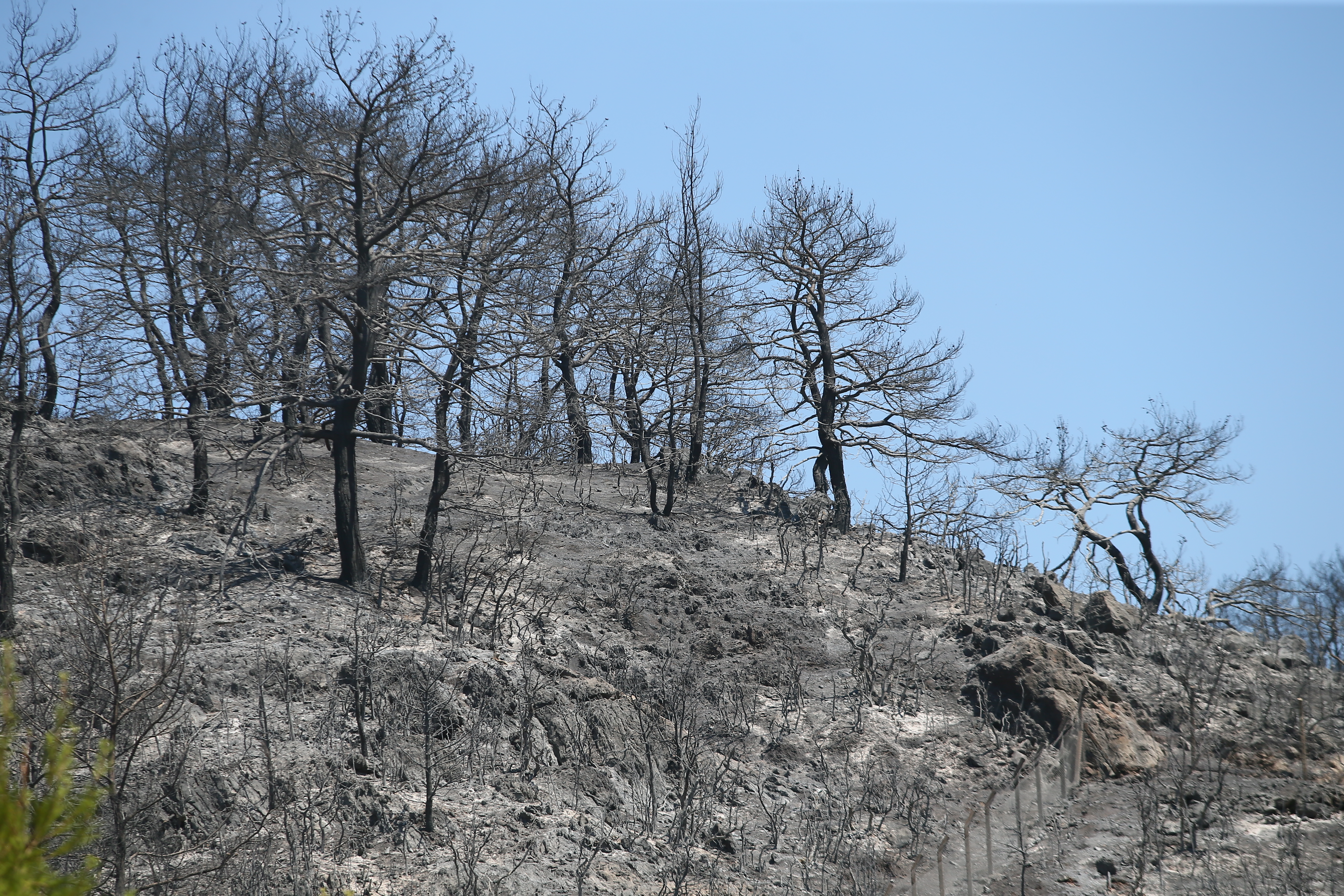 Forest fire destroys over 1,200 acres of land in Turkey