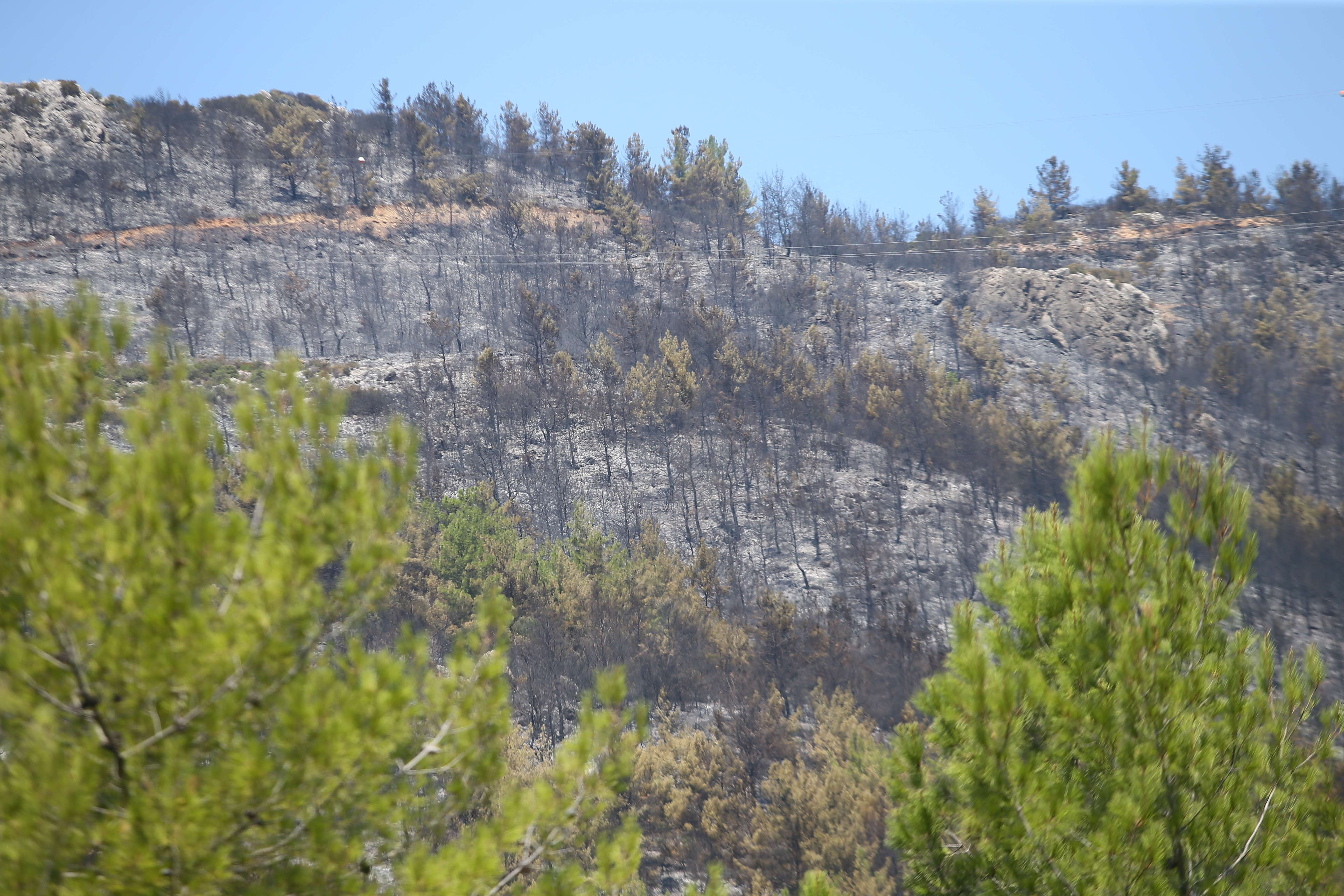 Forest fire destroys over 1,200 acres of land in Turkey