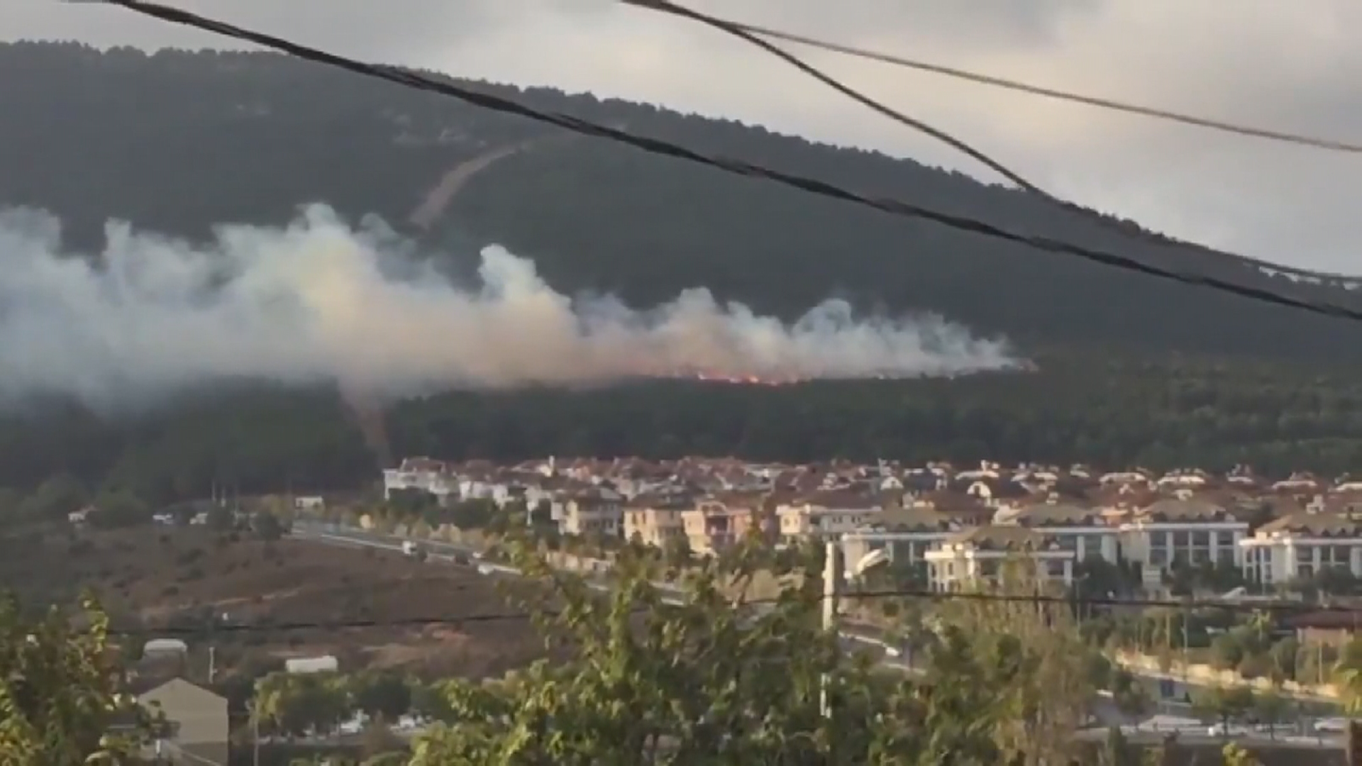 istanbul pendik teki orman yanginiyla