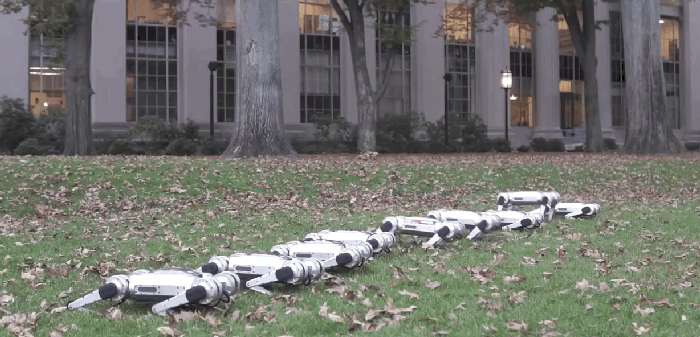 MIT'nin yenilenen Çita robotları ters takla bile atabiliyor.