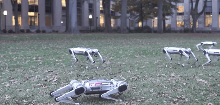 Robotlar ters döndüğünde ya da bir engelle karşılaştığında da zorlukları aşabiliyor.