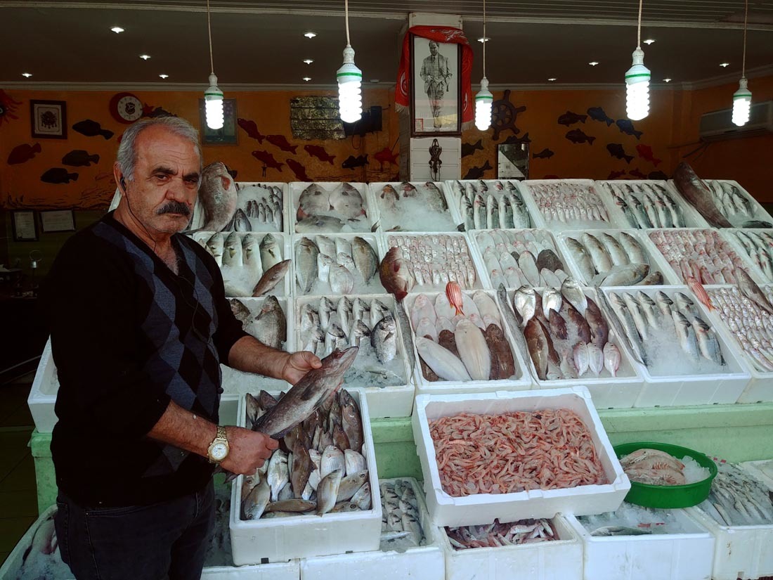 hatay haberleri iskenderun korfezi nin degerli canlisi jumbo karides 160 liradan satiliyor yeni safak