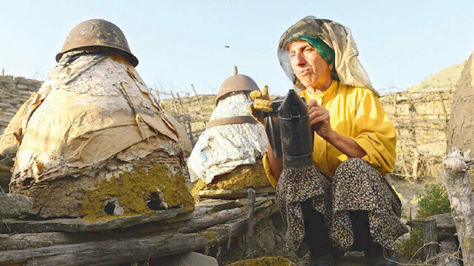 Bekirli Koyu Nden Hollywood A Yolculuk