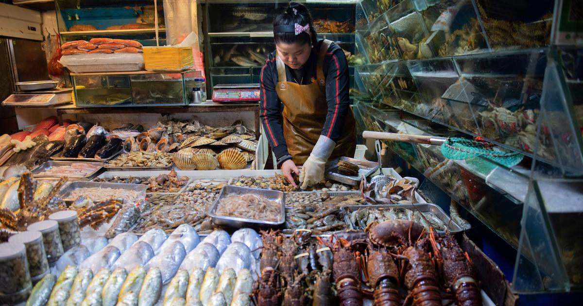 cin de vahsi hayvan yemesinler diye yetistiricilere para verilecek yeni safak
