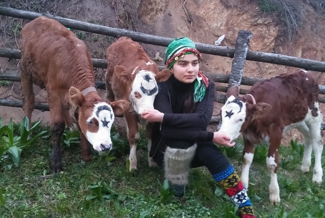 heidi nin köpeğinin adı